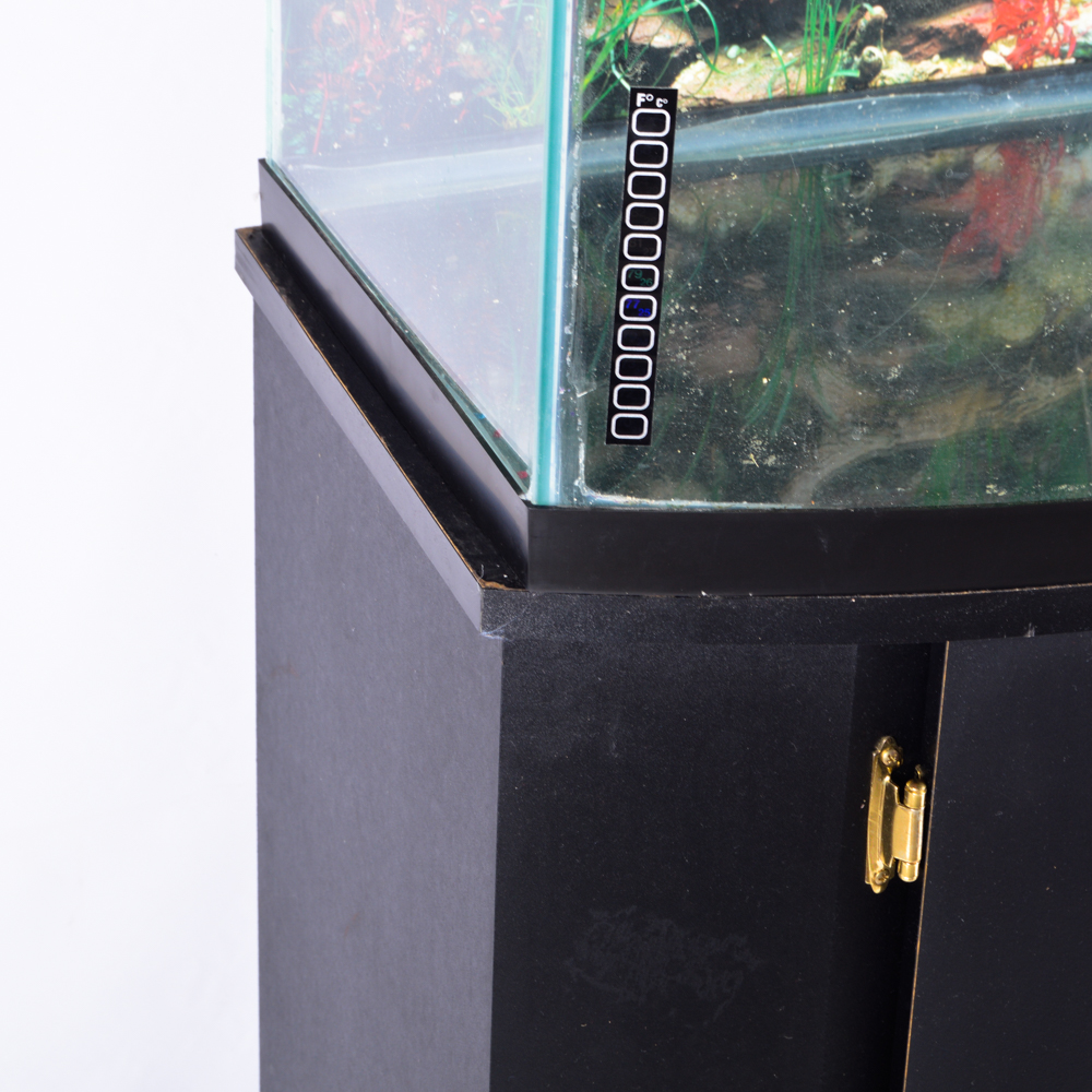 "All-Glass Aquarium" with Storage Stand
