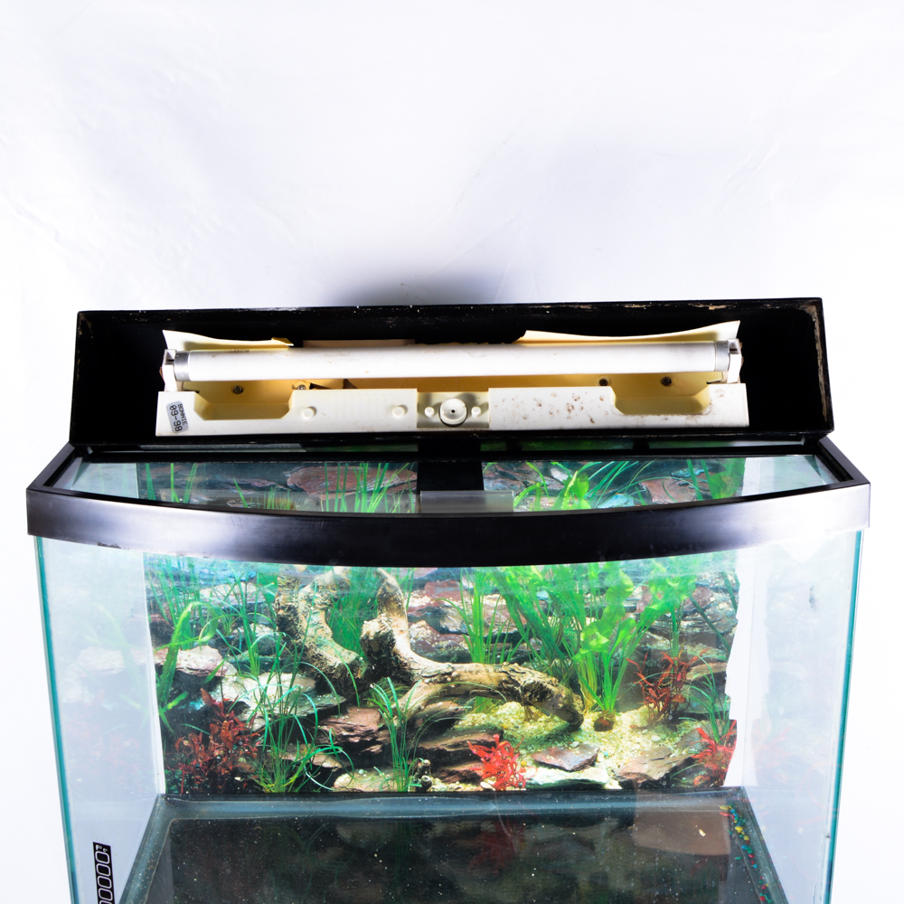 "All-Glass Aquarium" with Storage Stand
