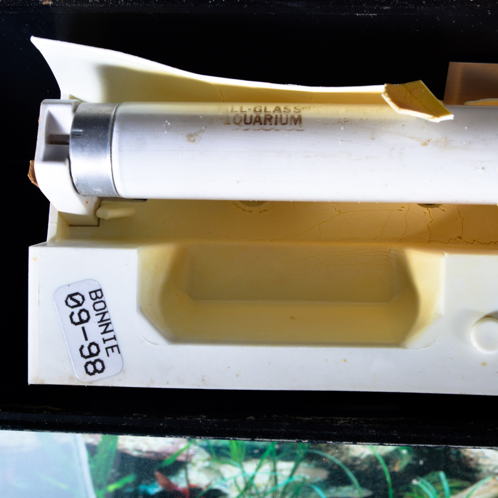 "All-Glass Aquarium" with Storage Stand