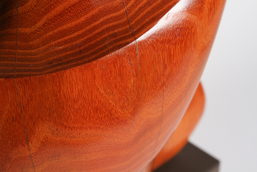 Bruce Johnson "New Beginnings" Carved Locust Wood Sculpture