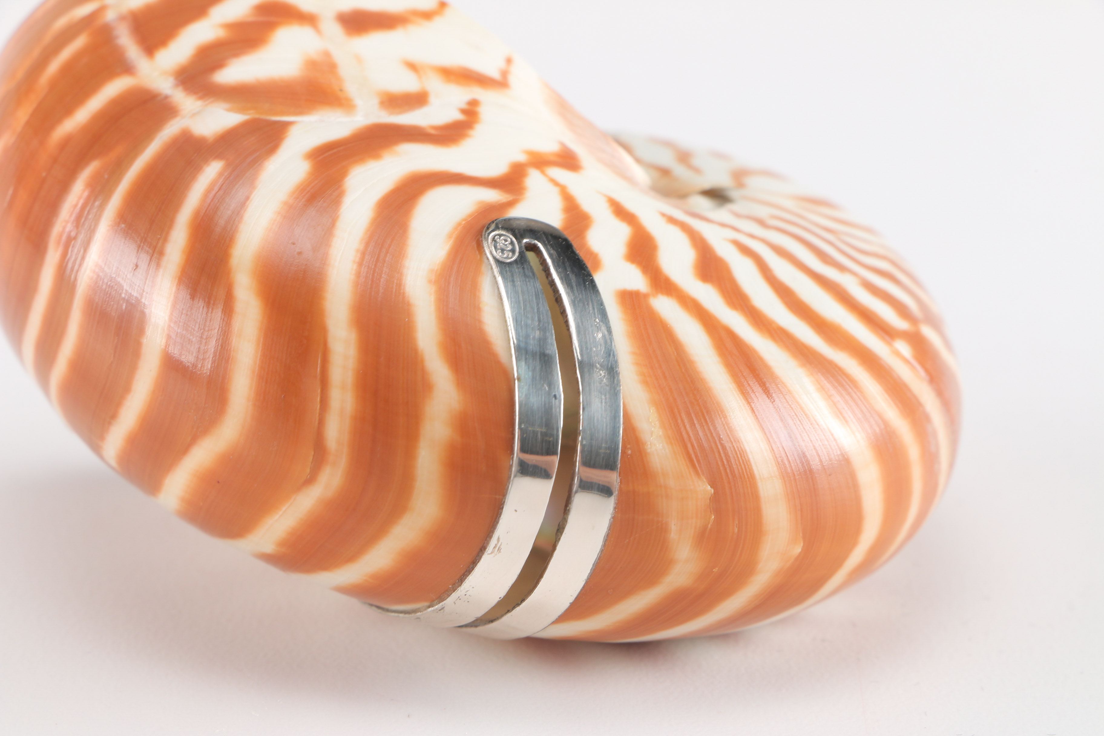 Pair of Nautilus Shell and Sterling Silver Place Card Holders