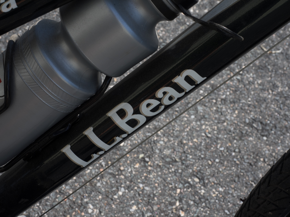 L.L. Bean Acadia Cruiser Bicycle by Schwinn