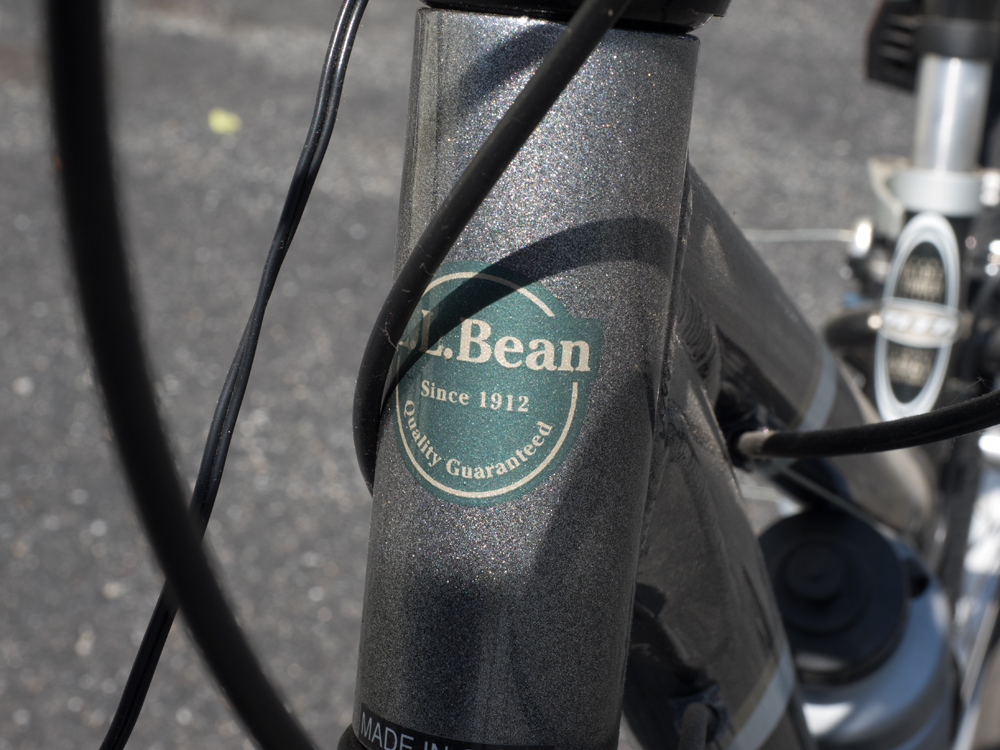 L.L. Bean Acadia Cruiser Bicycle by Schwinn