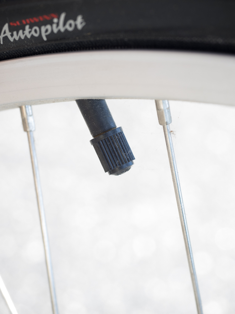 L.L. Bean Acadia Cruiser Bicycle by Schwinn