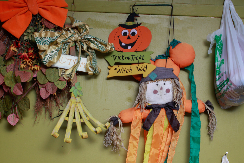 Assorted Halloween and Autumn Décor