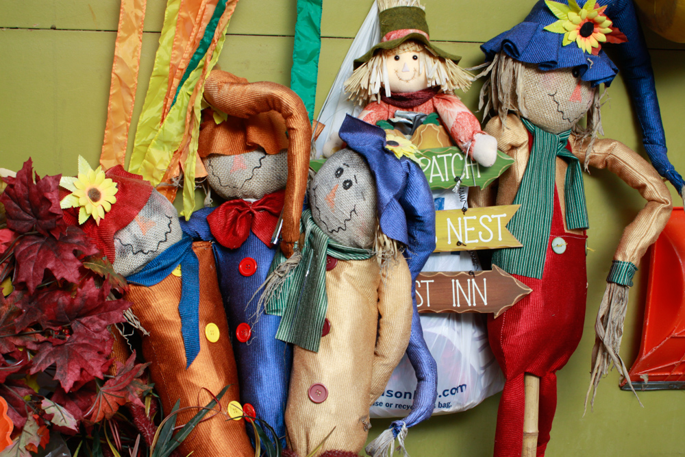 Assorted Halloween and Autumn Décor