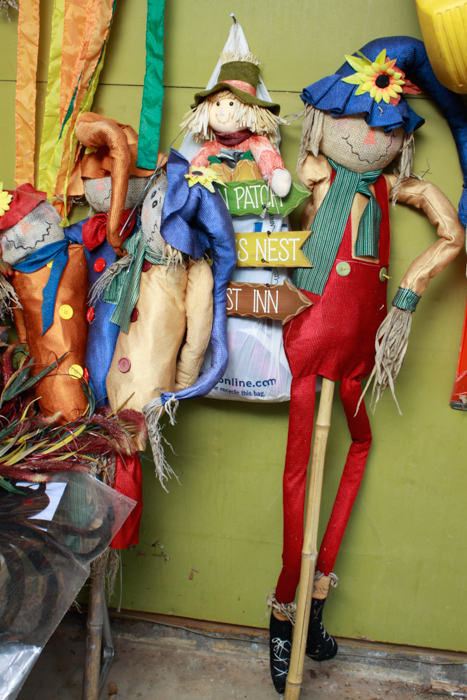 Assorted Halloween and Autumn Décor