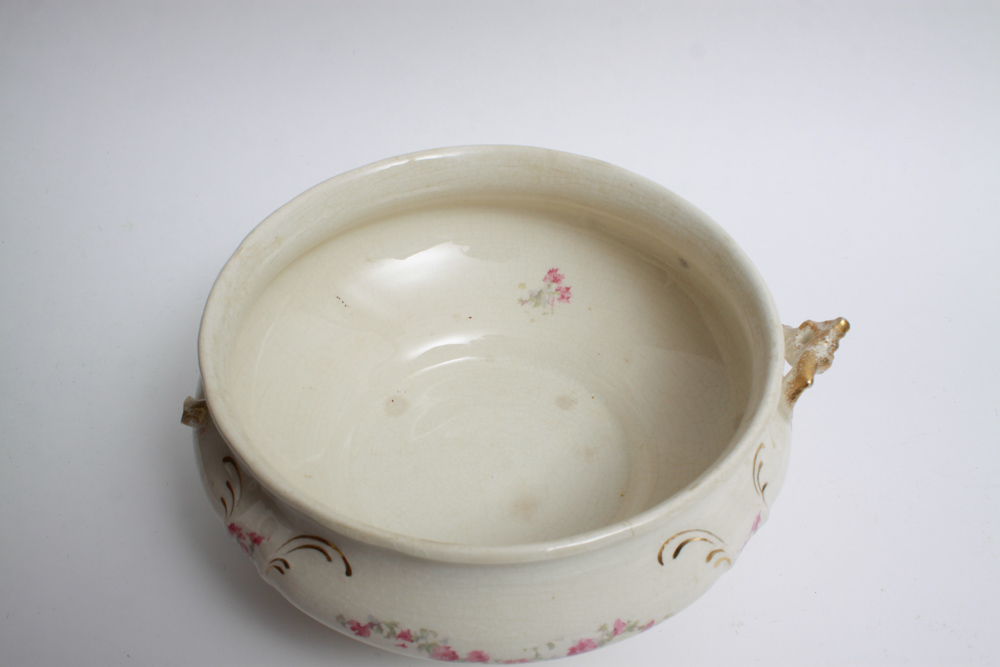 Antique Warwick China Pieces