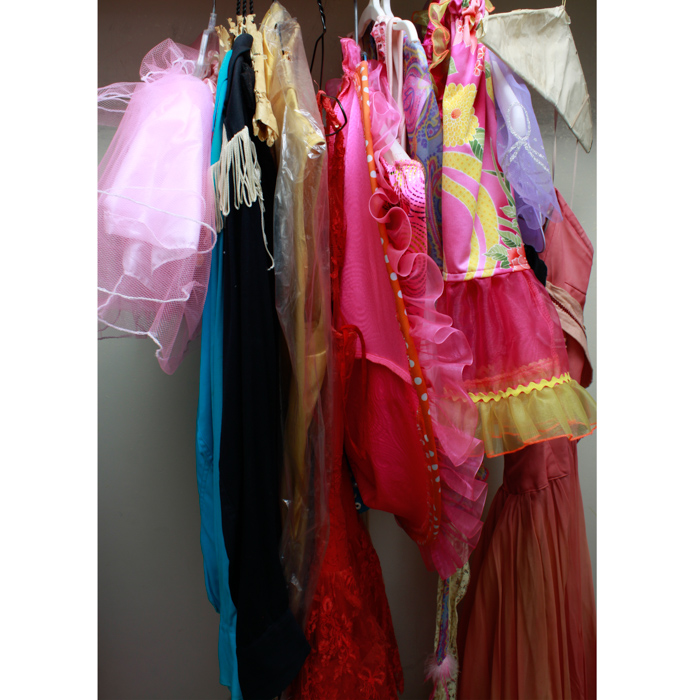 Assortment of Costumes
