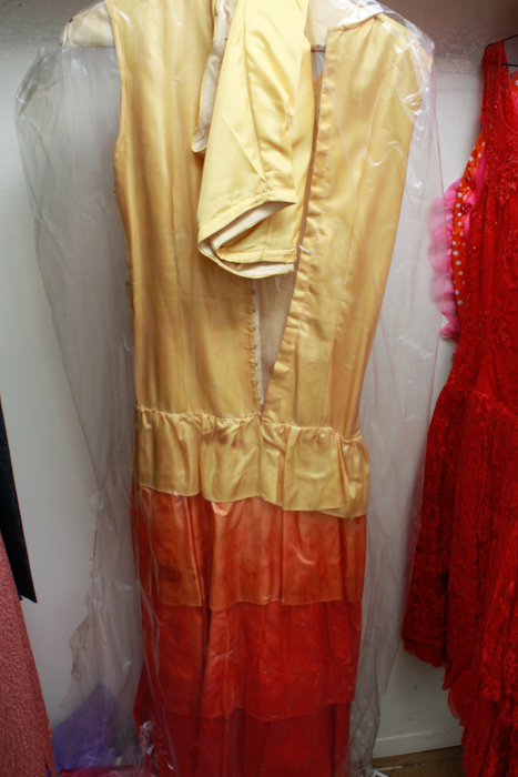 Assortment of Costumes