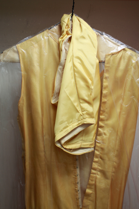 Assortment of Costumes