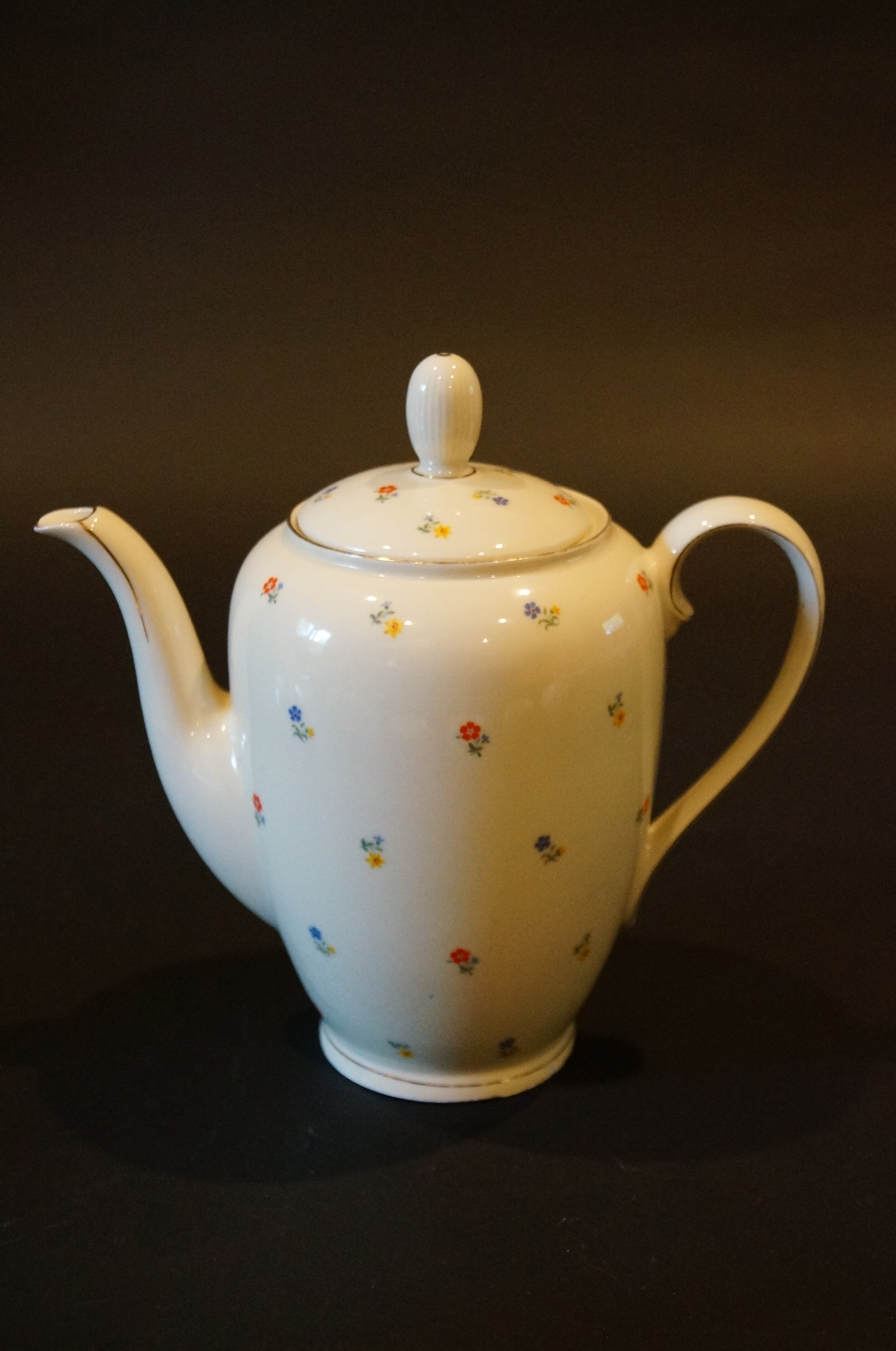 Circa 1915 Schirnding Bavaria Porcelain Tea Set