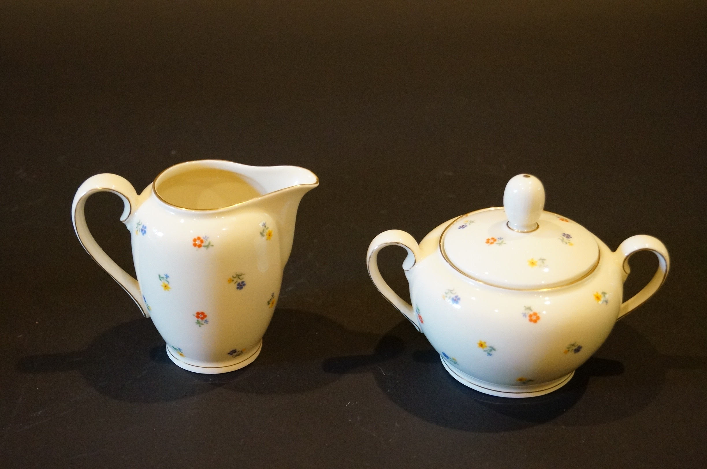 Circa 1915 Schirnding Bavaria Porcelain Tea Set