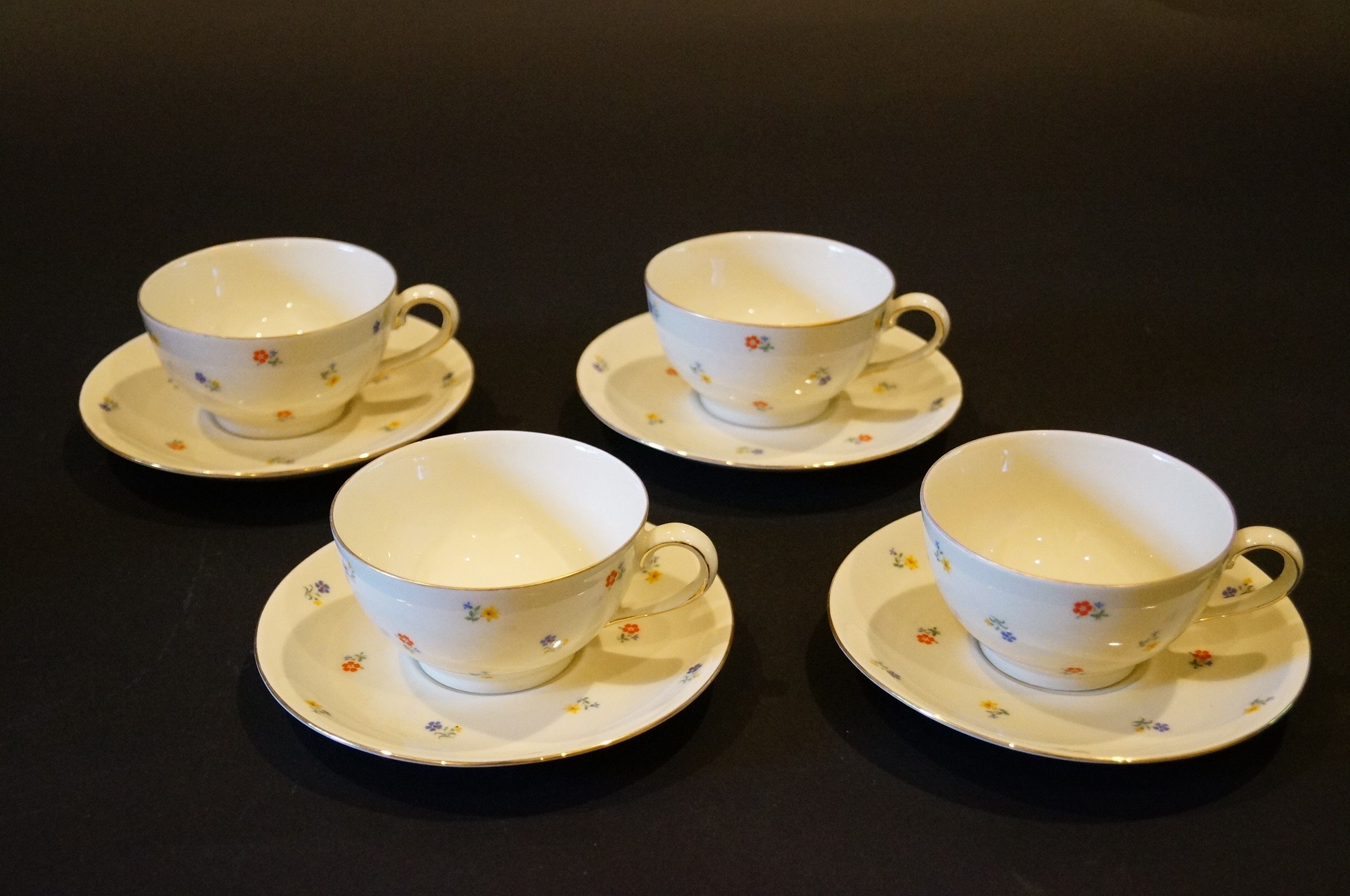 Circa 1915 Schirnding Bavaria Porcelain Tea Set