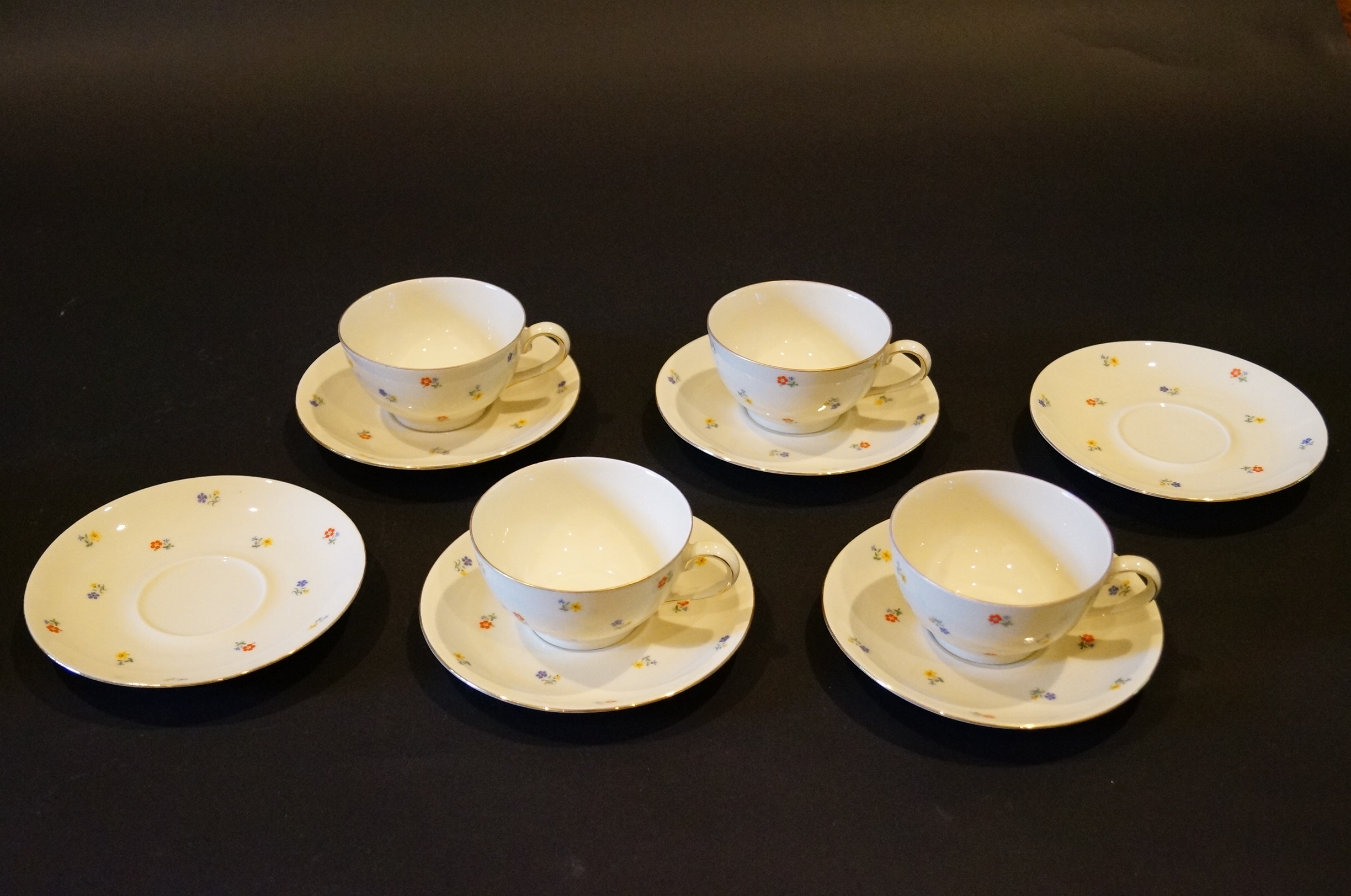 Circa 1915 Schirnding Bavaria Porcelain Tea Set