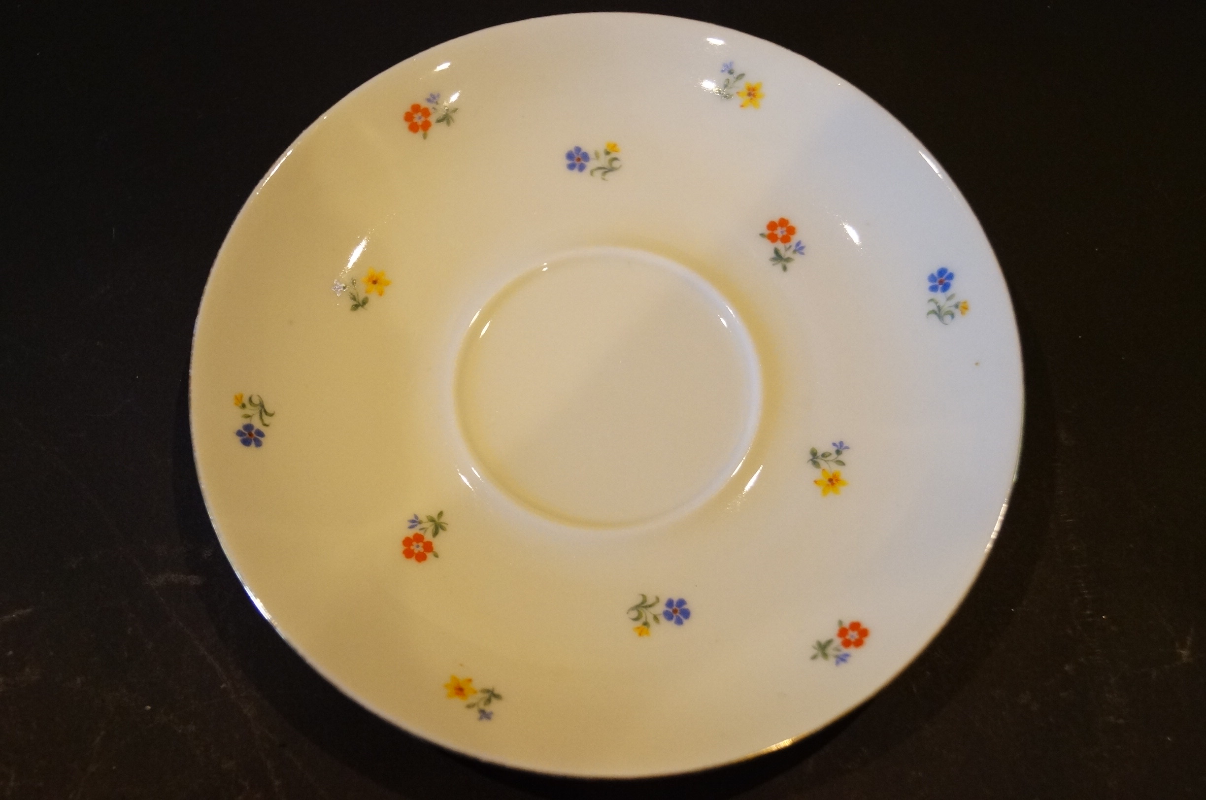 Circa 1915 Schirnding Bavaria Porcelain Tea Set