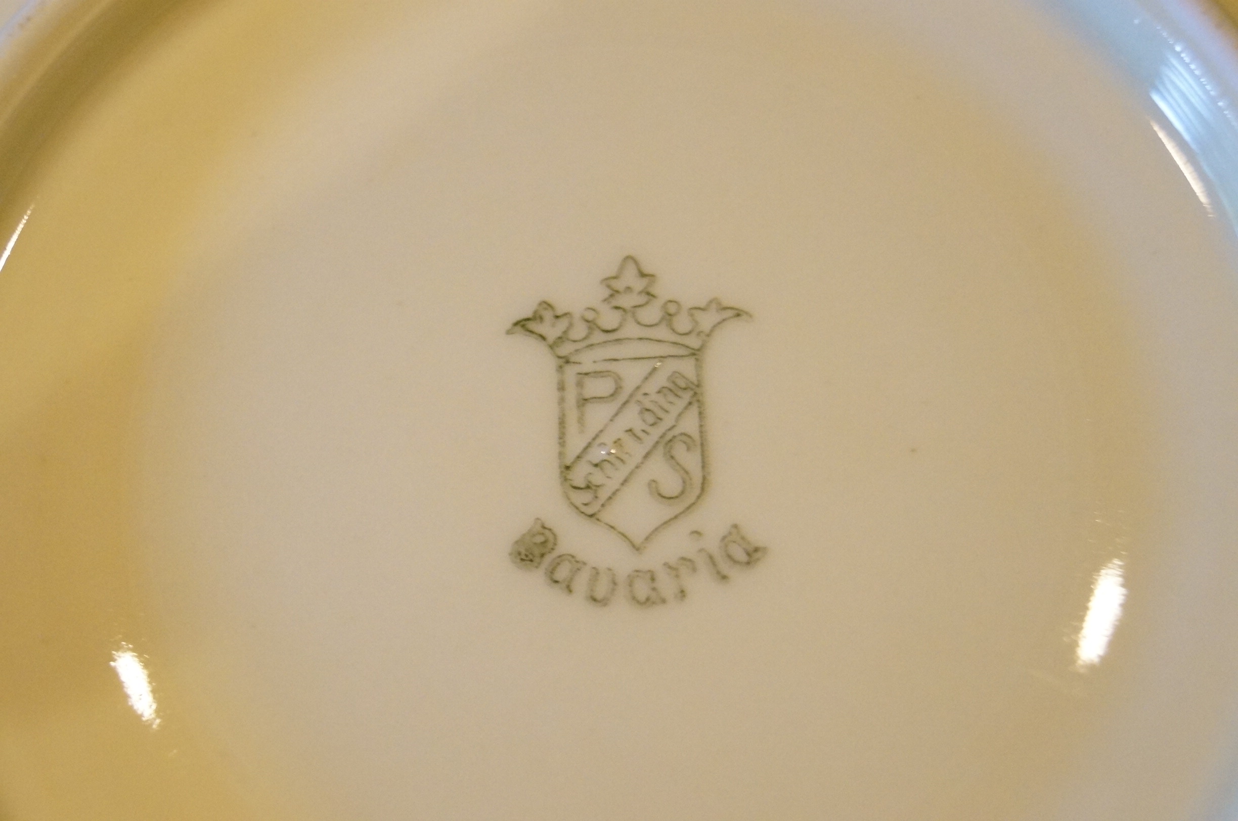 Circa 1915 Schirnding Bavaria Porcelain Tea Set