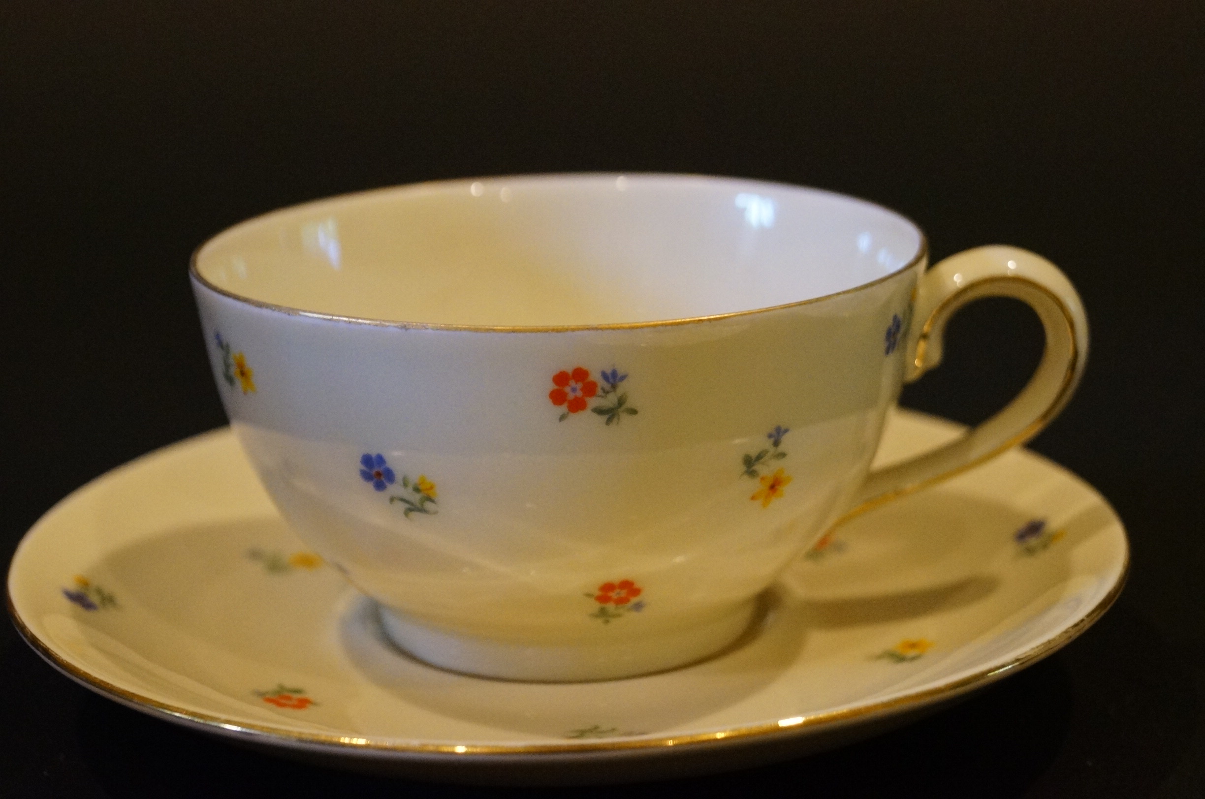 Circa 1915 Schirnding Bavaria Porcelain Tea Set
