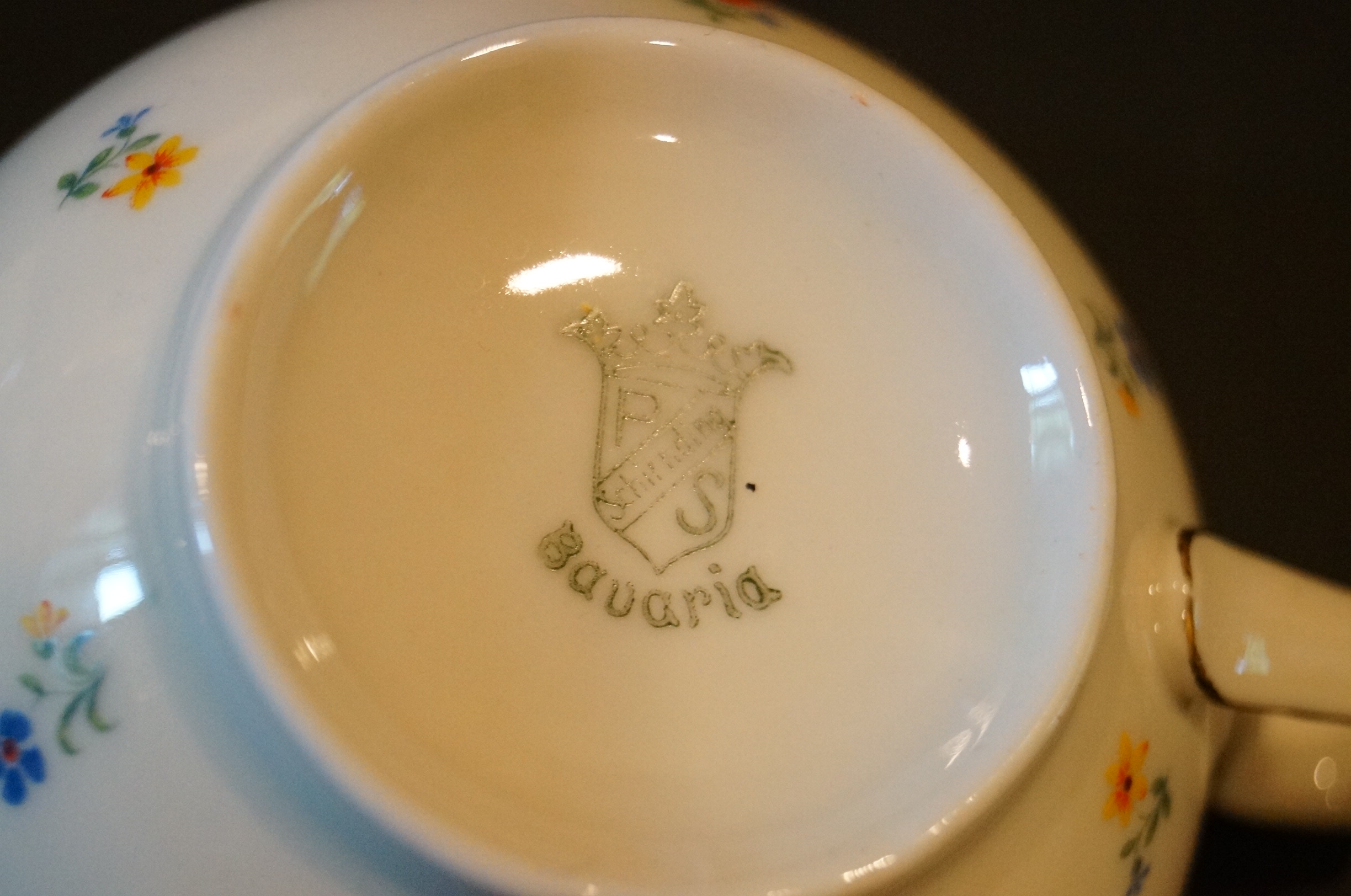 Circa 1915 Schirnding Bavaria Porcelain Tea Set