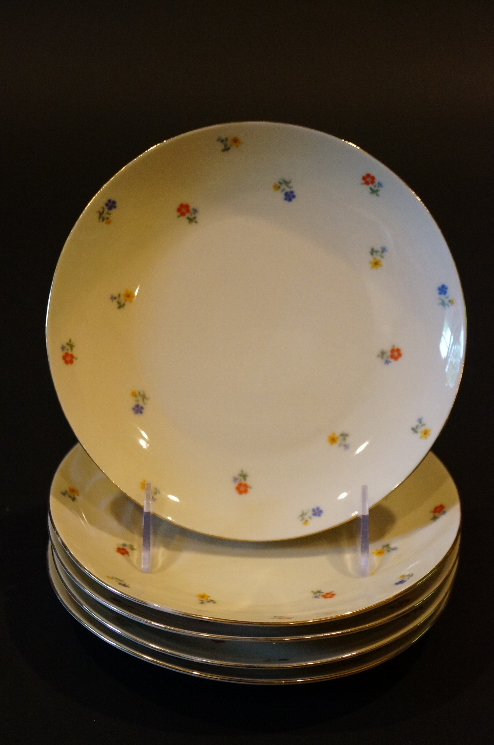 Circa 1915 Schirnding Bavaria Porcelain Tea Set