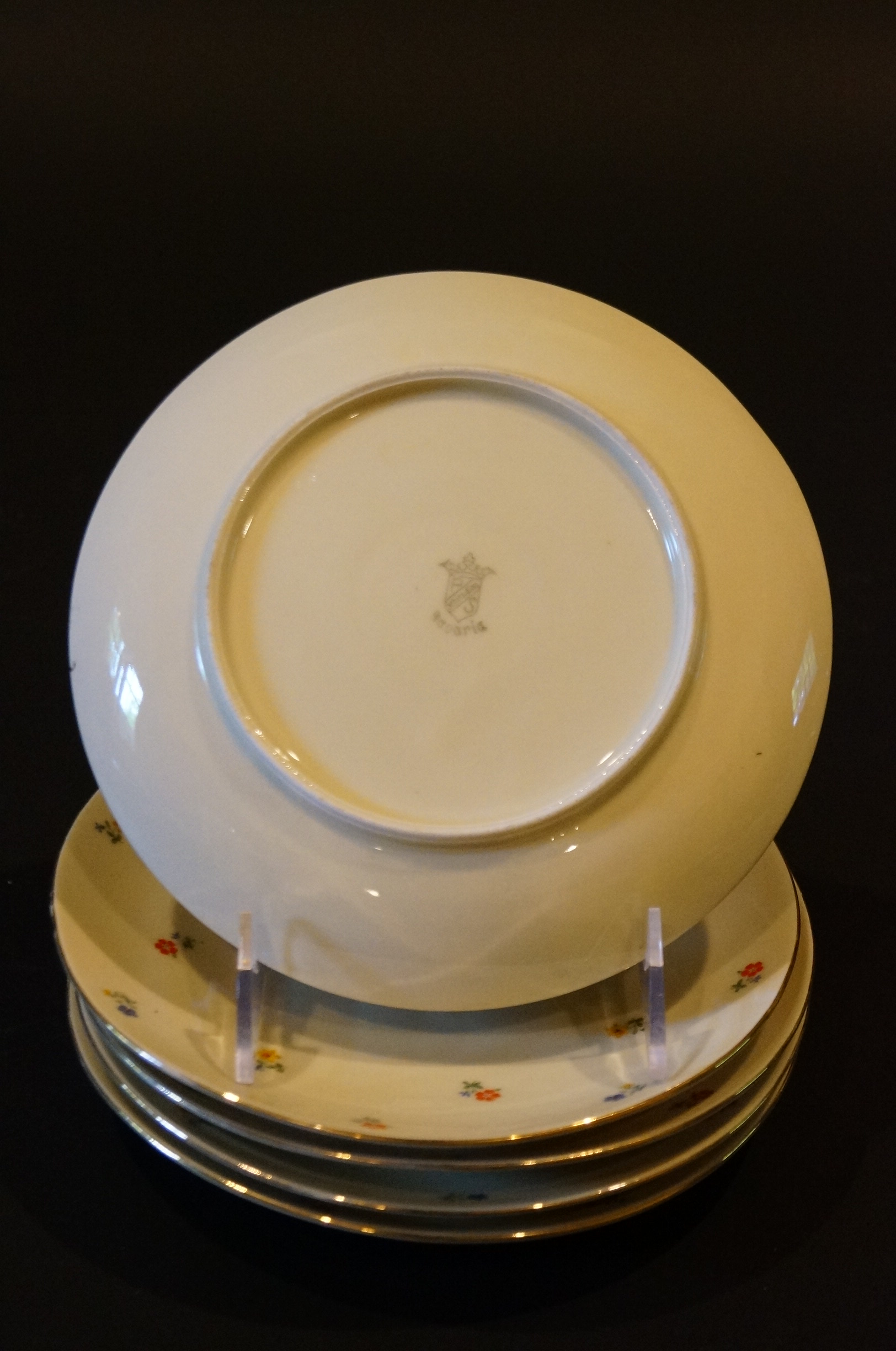 Circa 1915 Schirnding Bavaria Porcelain Tea Set