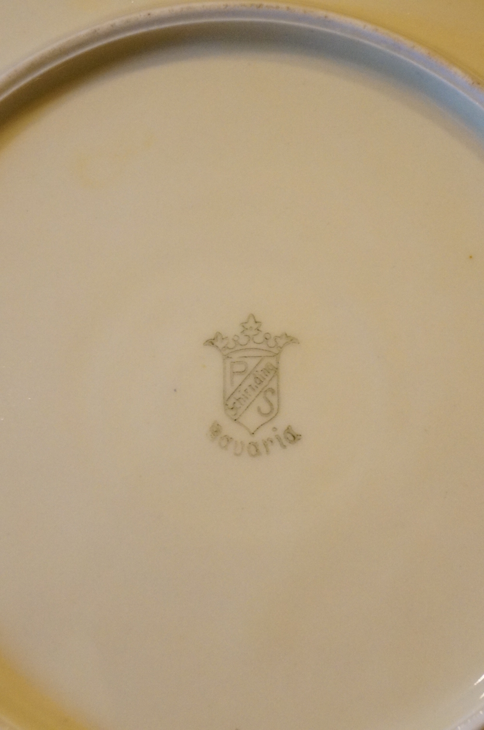 Circa 1915 Schirnding Bavaria Porcelain Tea Set