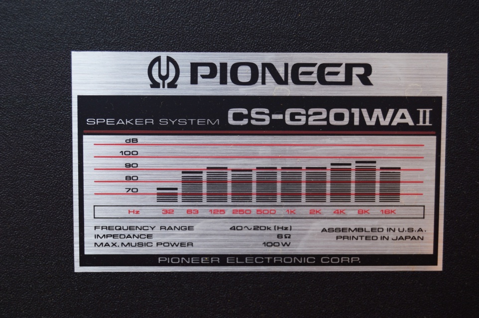Pioneer Floor Speakers