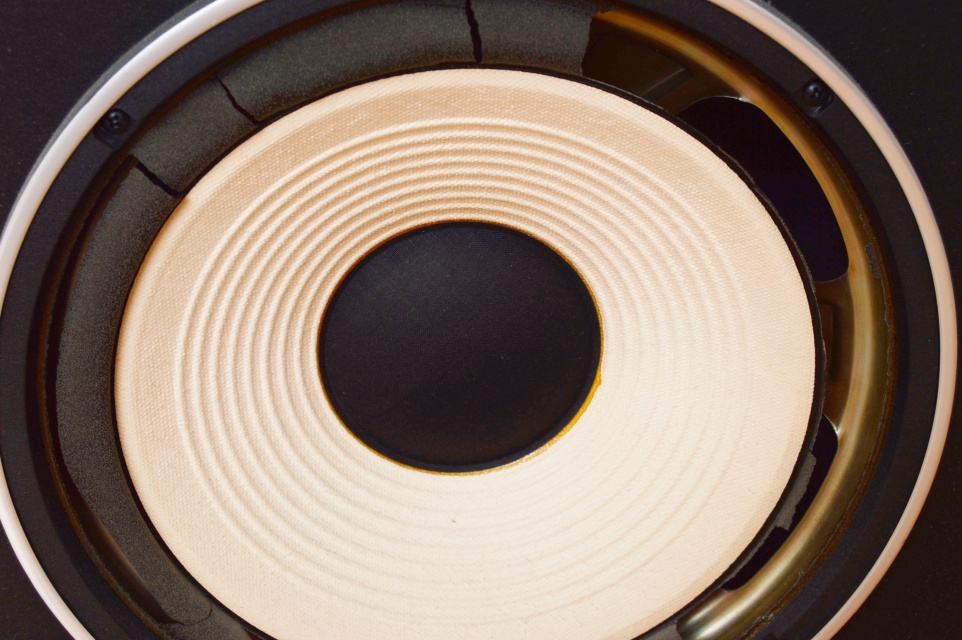 Pioneer Floor Speakers