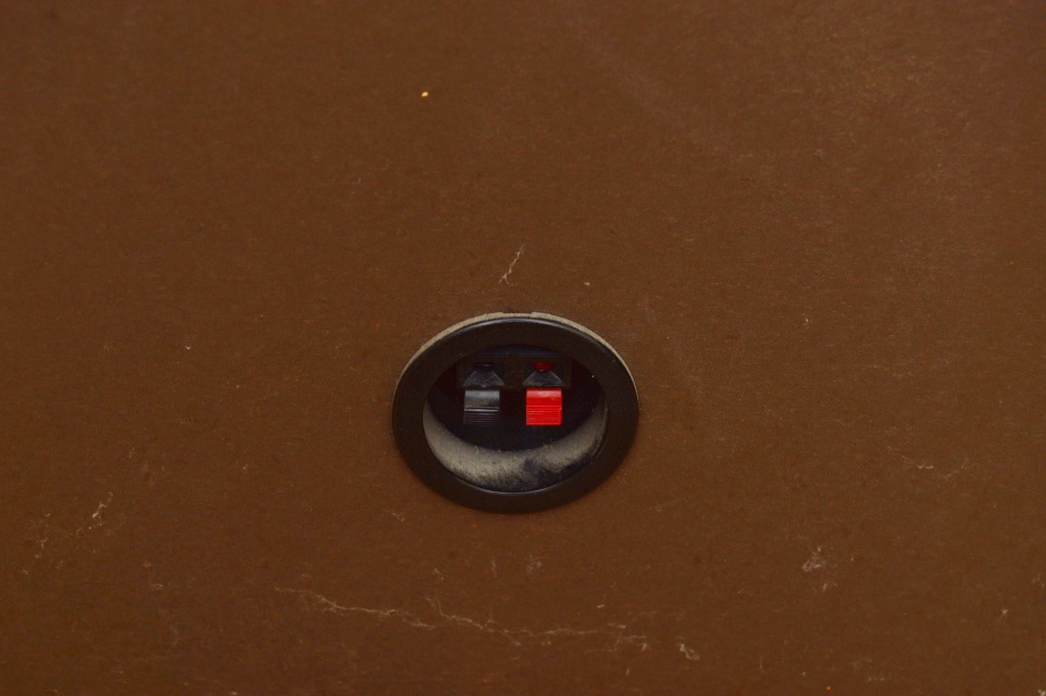 Pioneer Floor Speakers