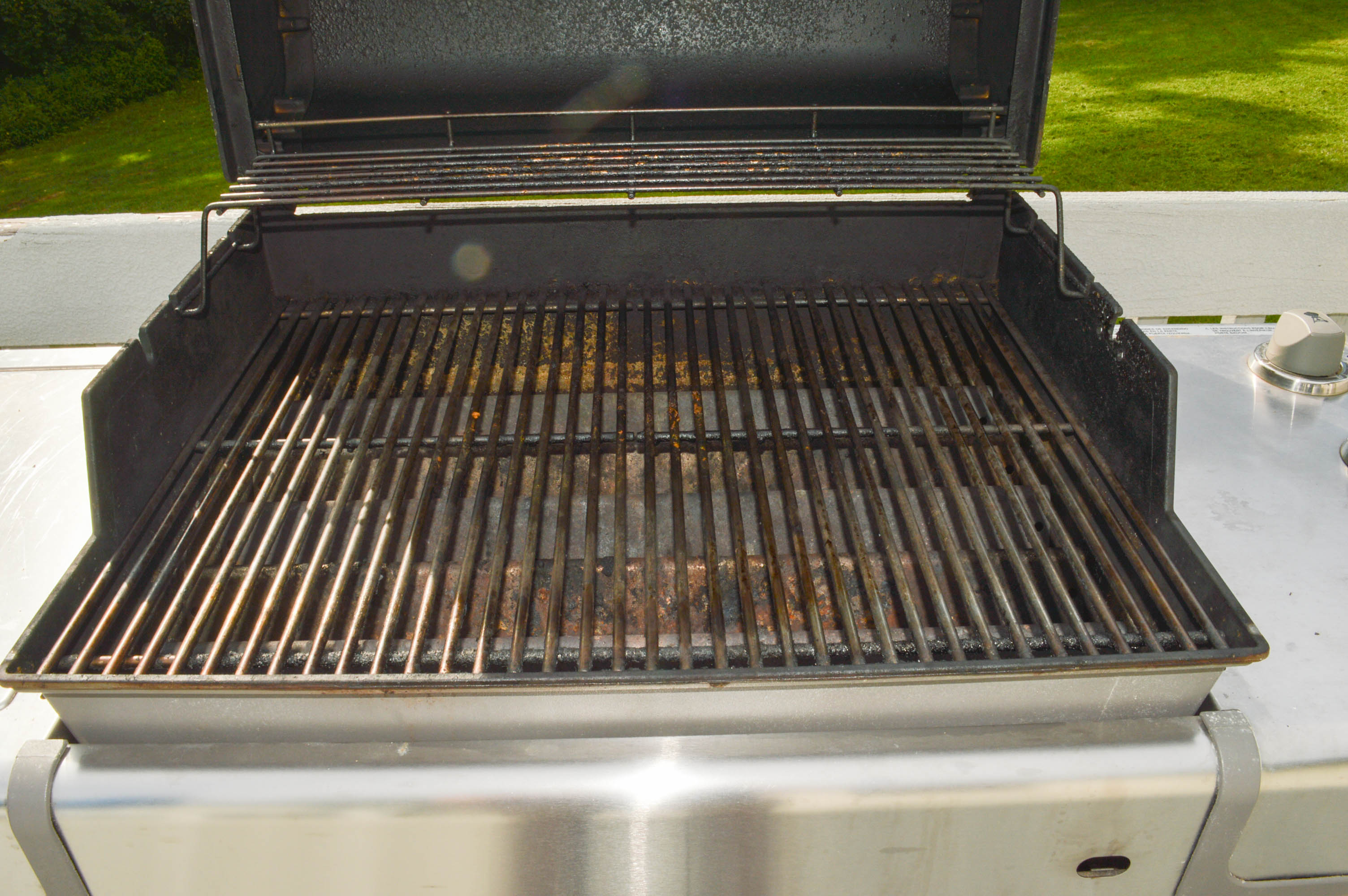 Weber Genesis Special Edition Outdoor Grill