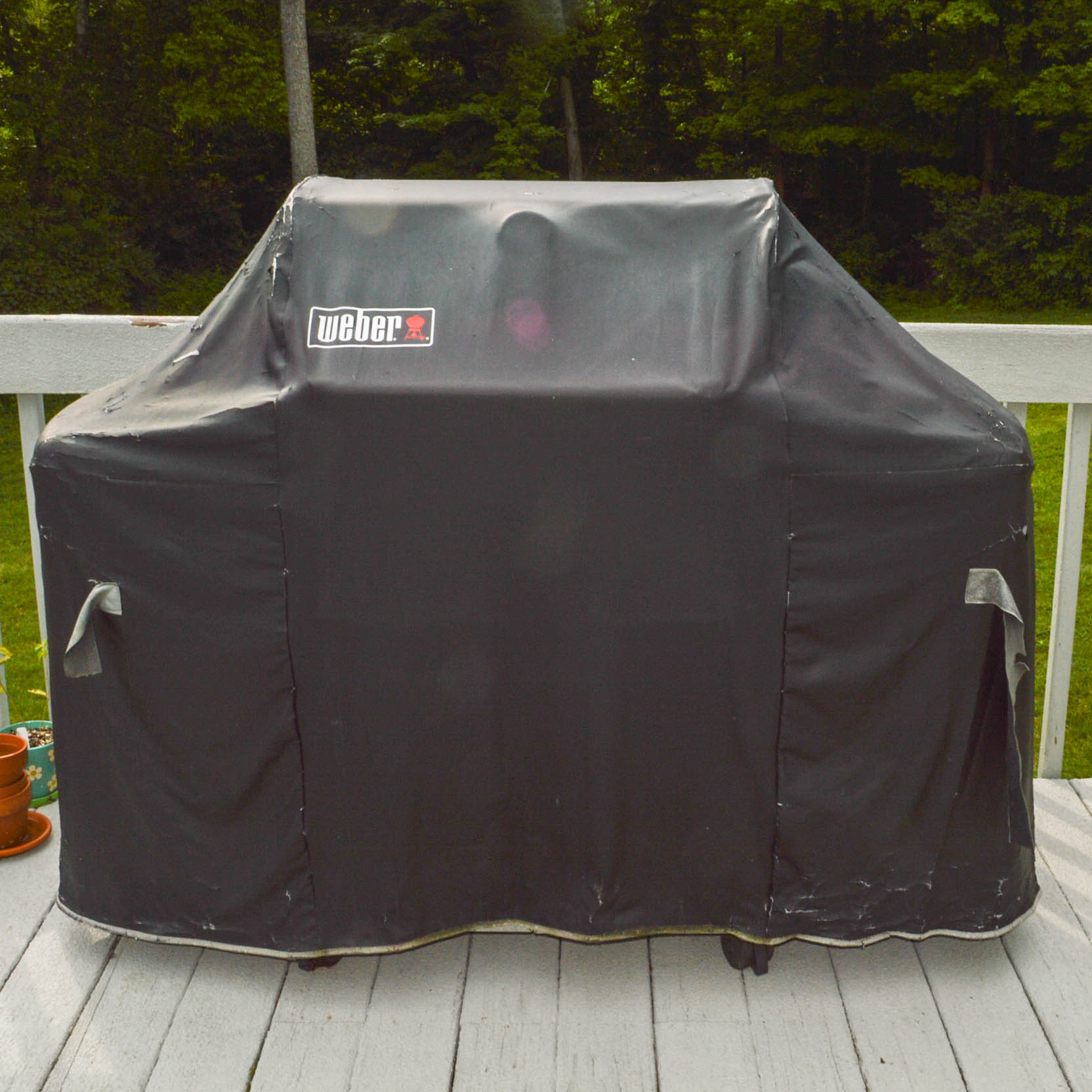 Weber Genesis Special Edition Outdoor Grill