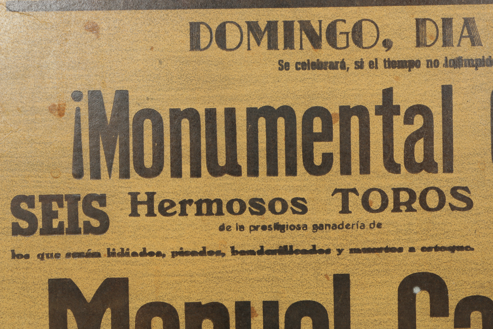 Matador Poster Print