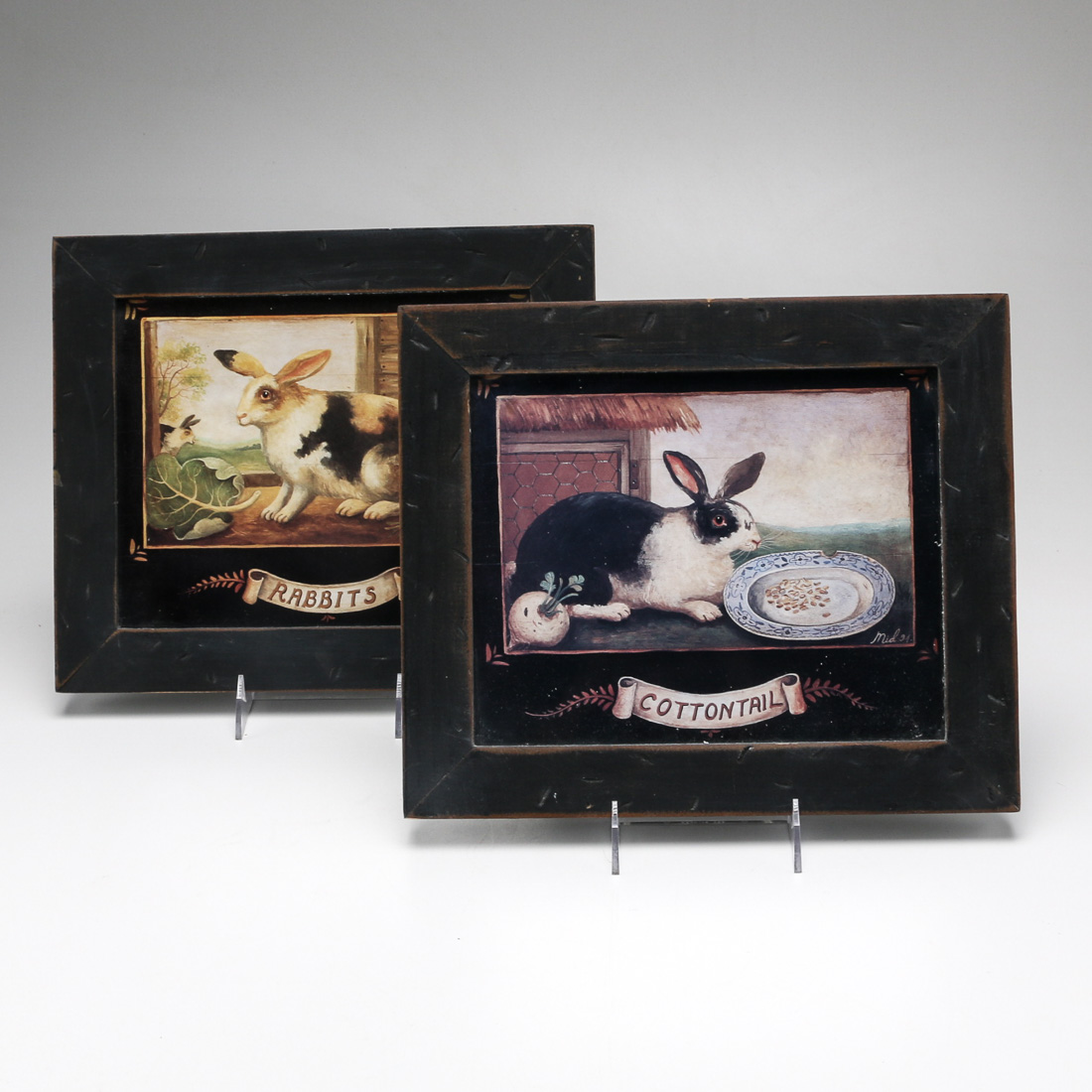 Pair of Framed Rabbit Prints