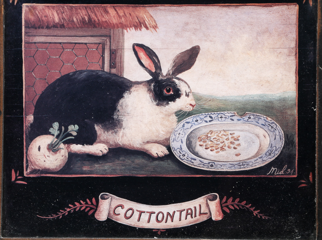 Pair of Framed Rabbit Prints