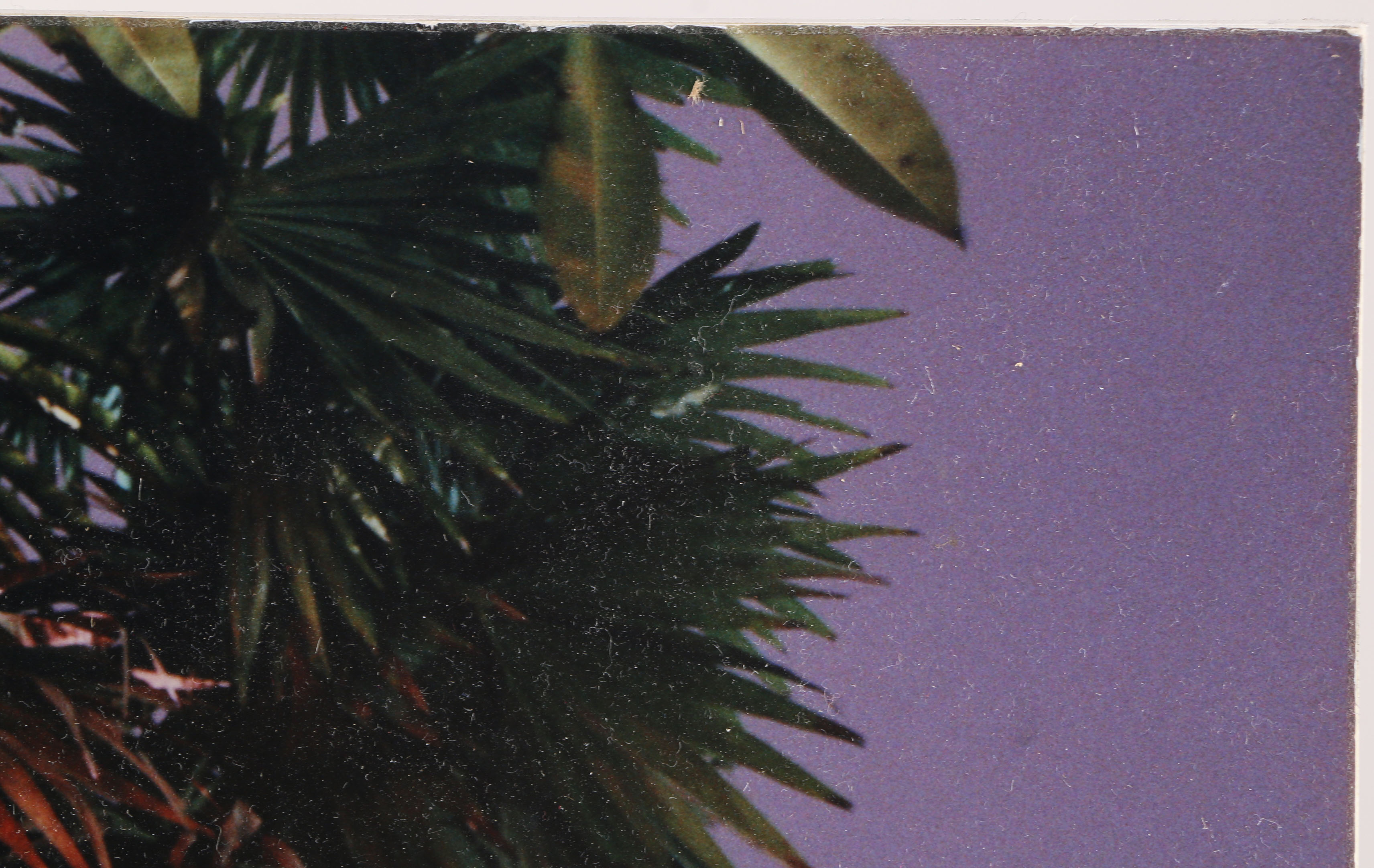 Limited Edition Photographic Print "Colonial House Vientaine Laos 2001"