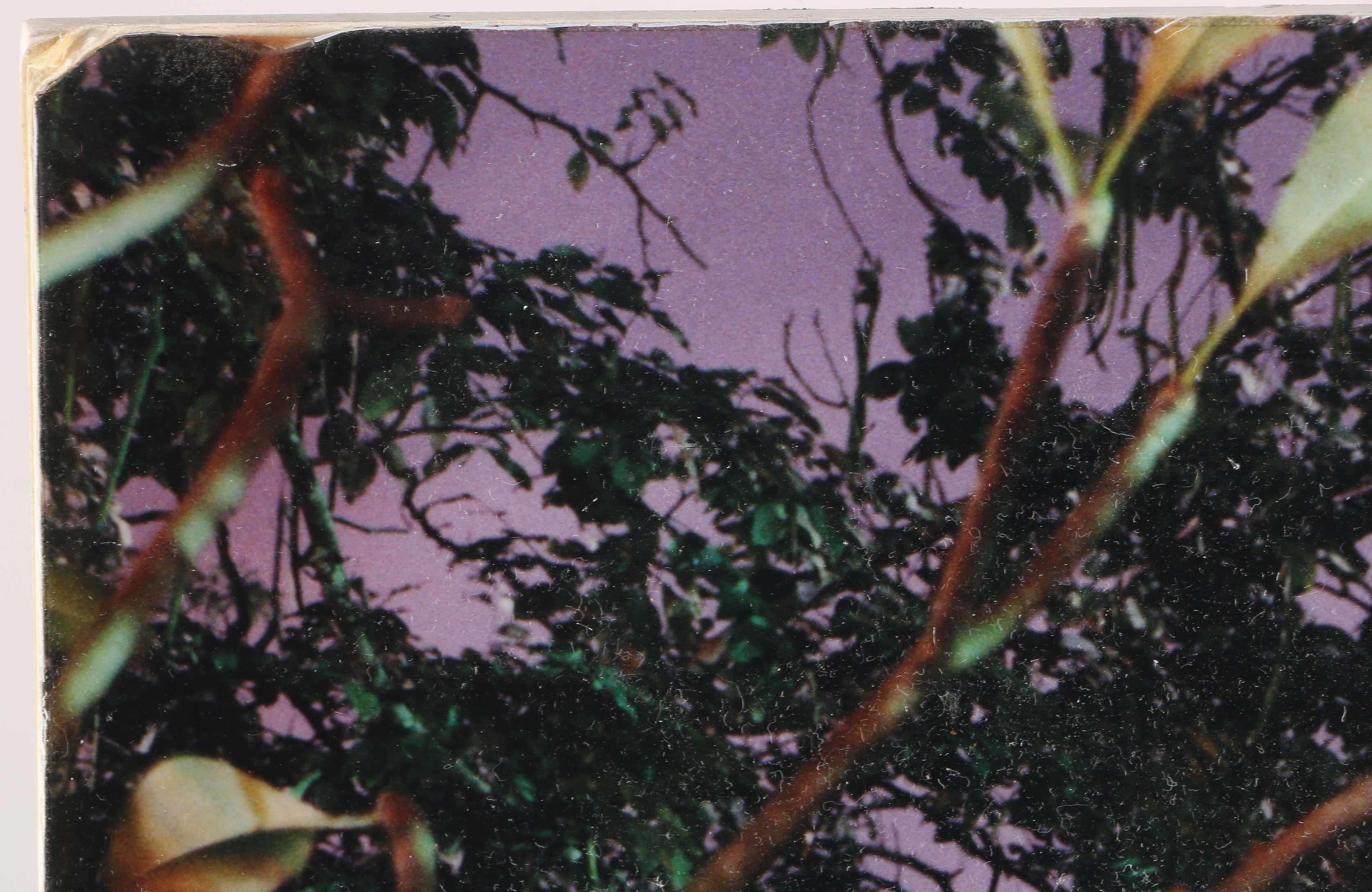 Limited Edition Photographic Print "Colonial House Vientaine Laos 2001"