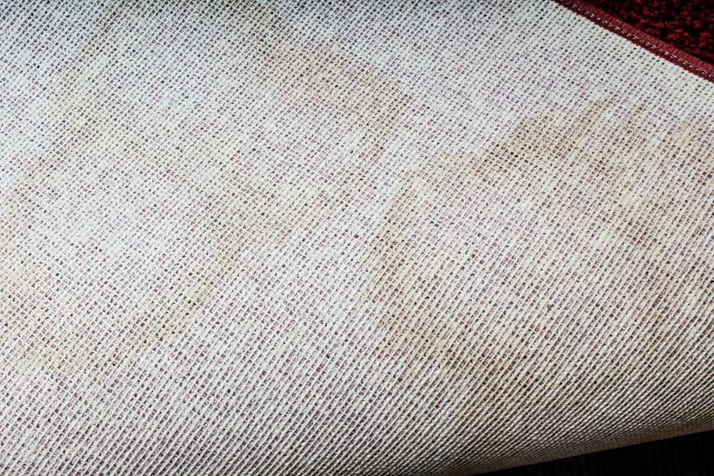 Masland Carpets Spun Nylon Area Rug