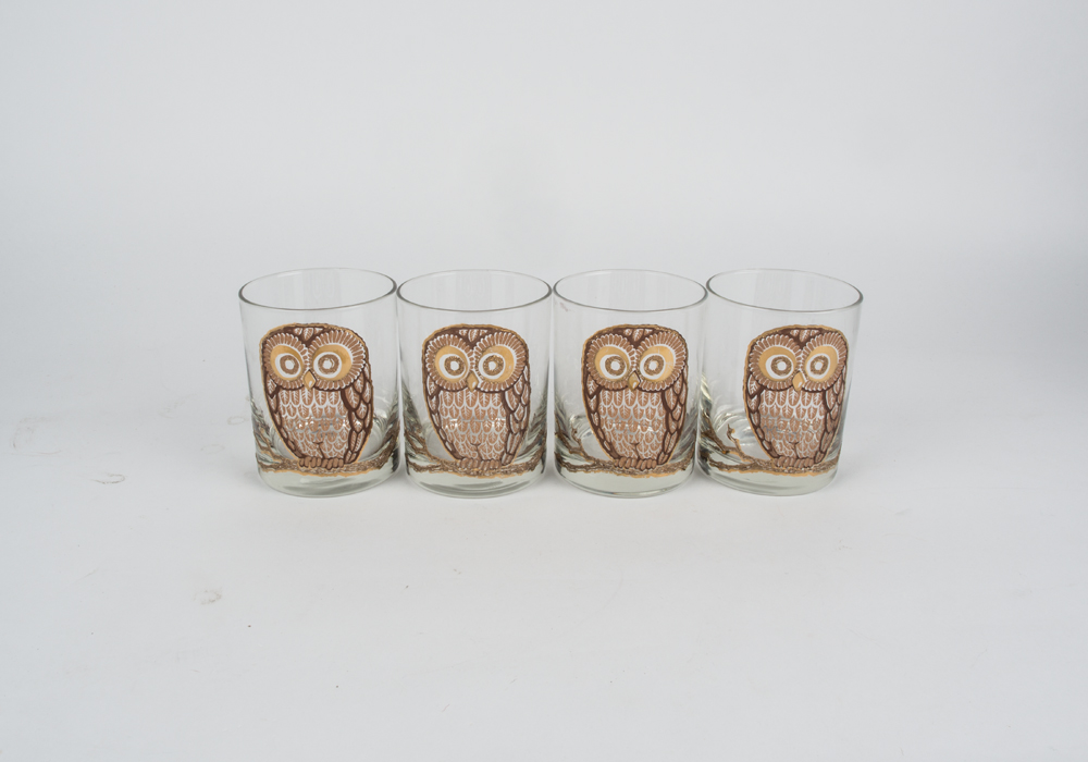 Owl Tumbler Glasses