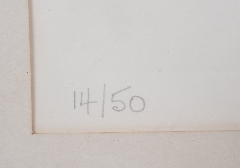 Nancy Tiemeo Limited Edition Intaglio "The Illustrated Woman"