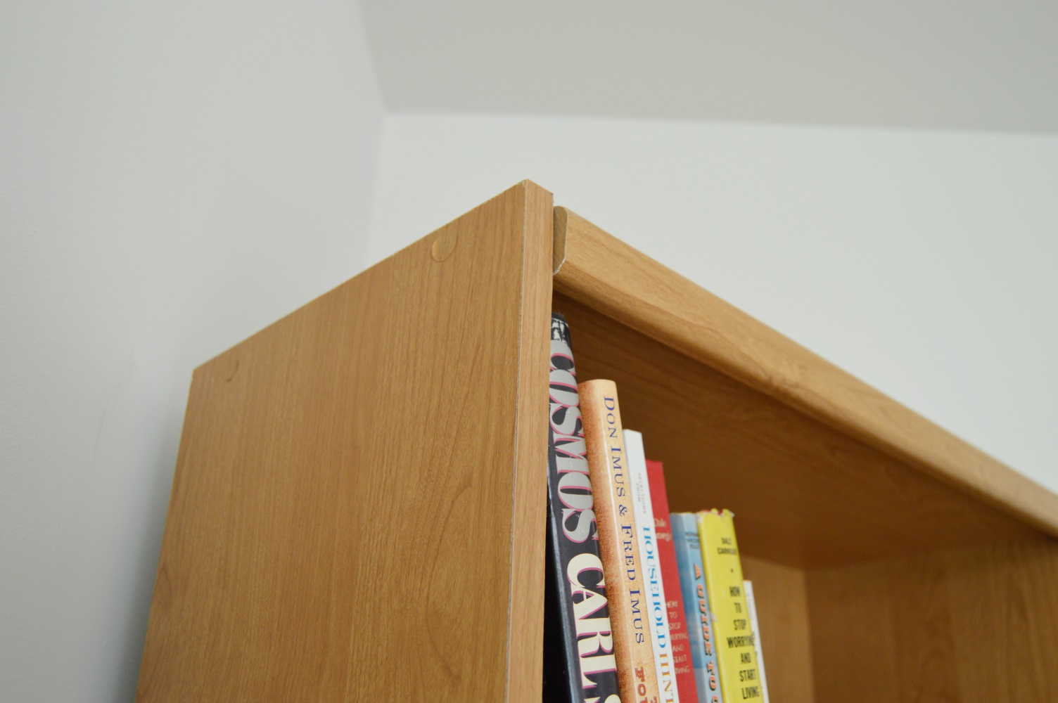 Bookcase with Books