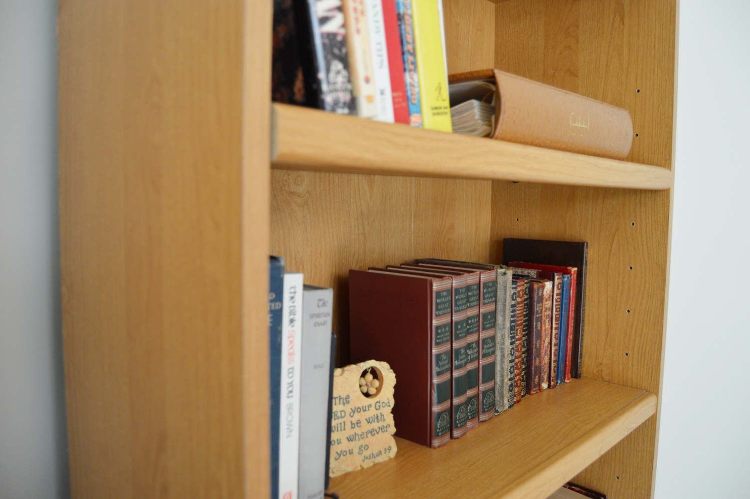 Bookcase with Books