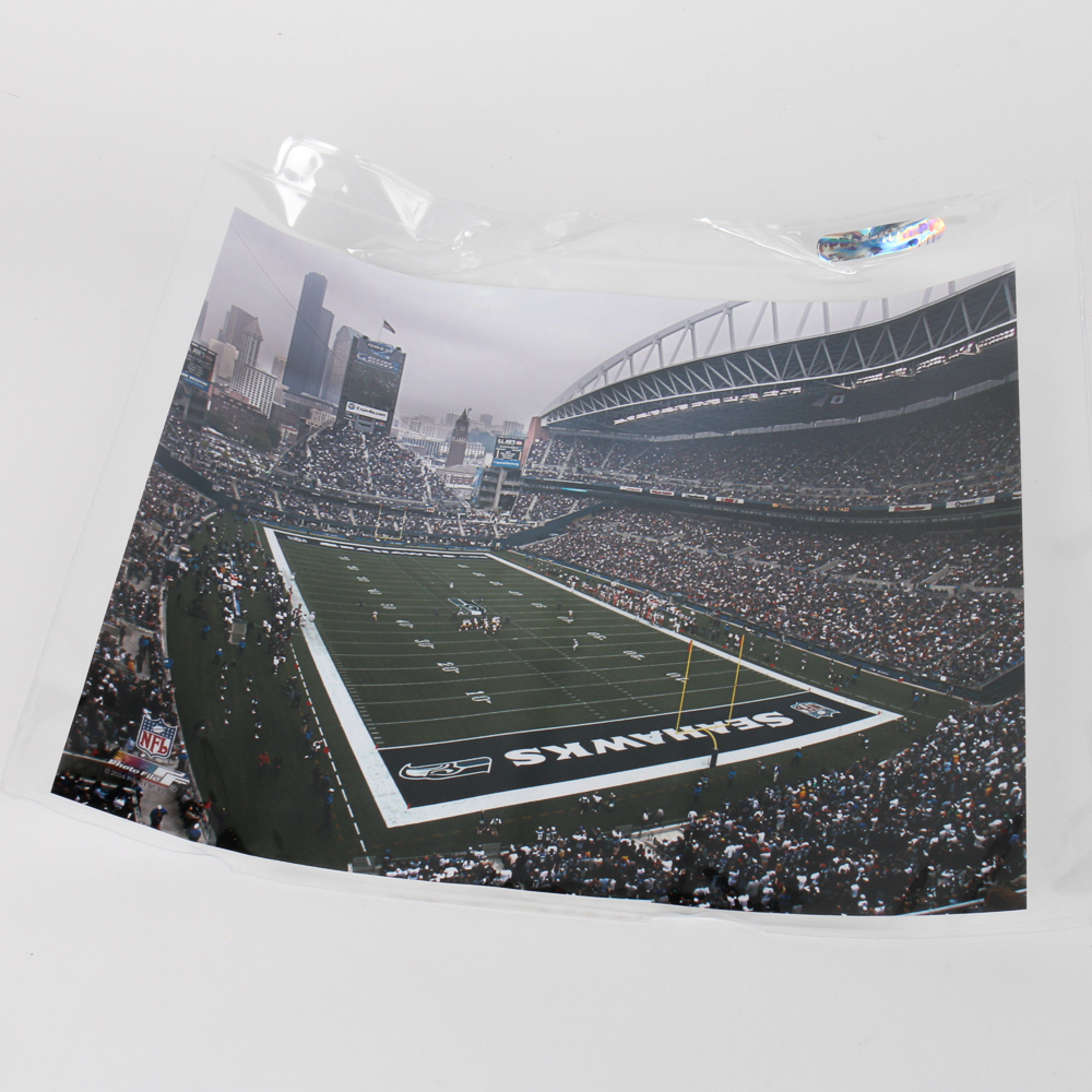 Seatle Seahawks Photo