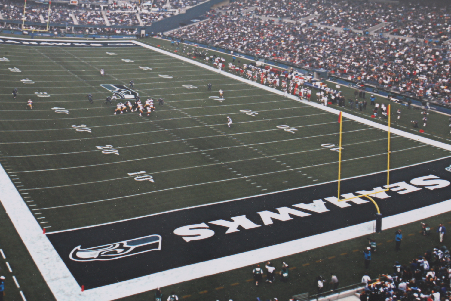 Seatle Seahawks Photo