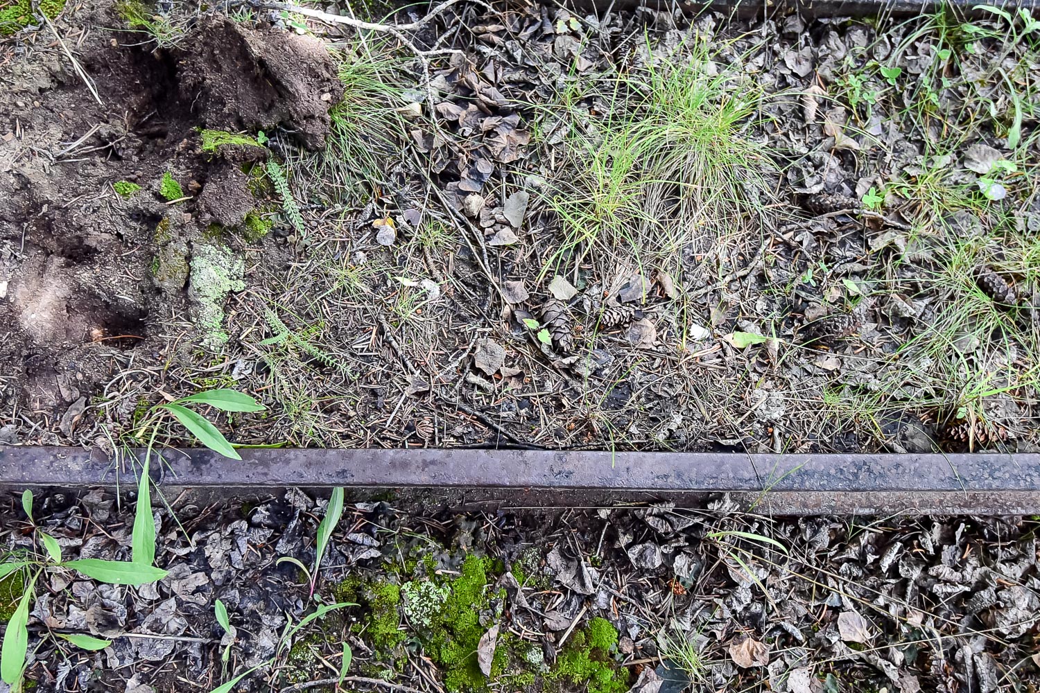 Antique Mine Cart, Tools and Track