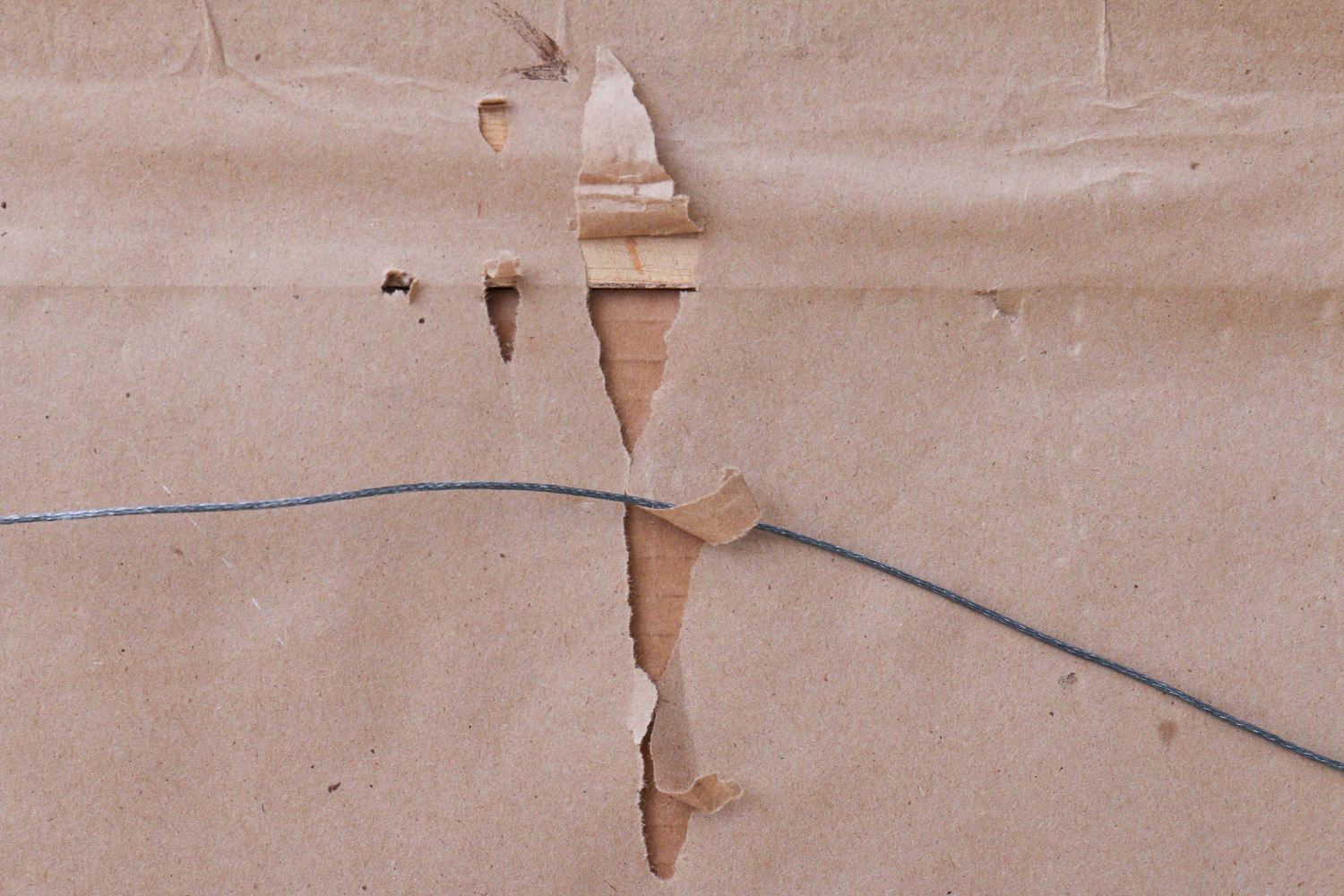 Framed Reproduction Art Nouveau Print