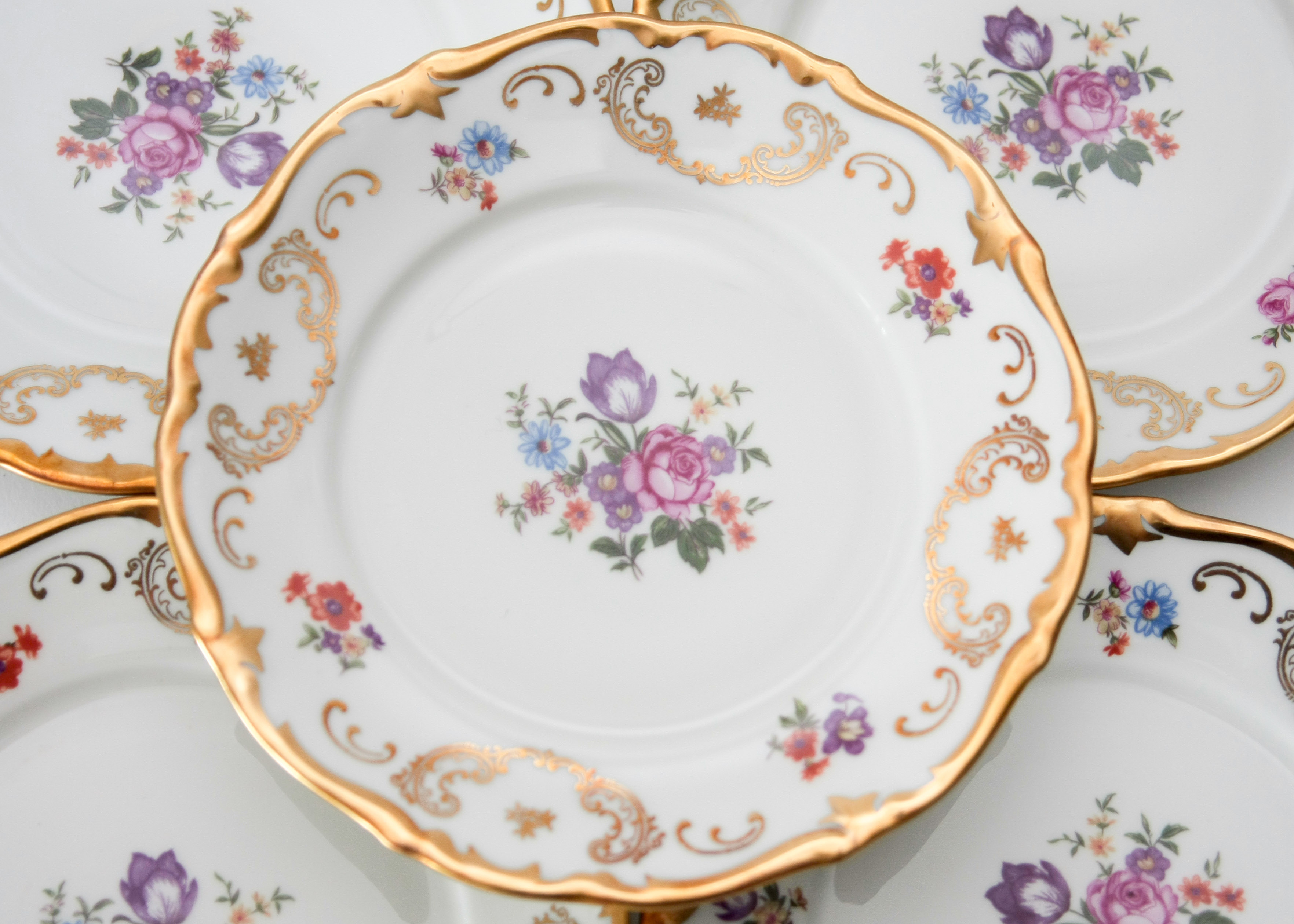 Reichenbach Fine China Set Service for Twelve