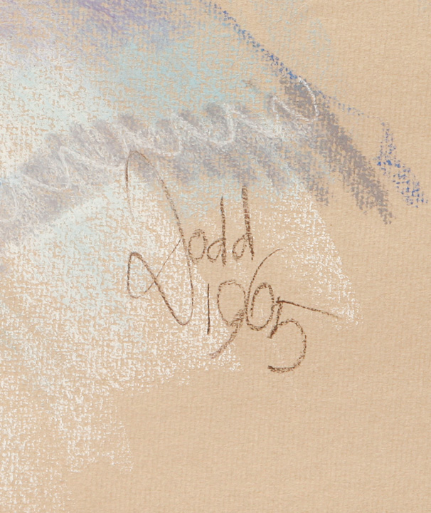 Framed Pastel Chalk Drawing of a Young Woman