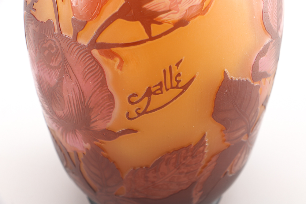 Collection of Glass Vases