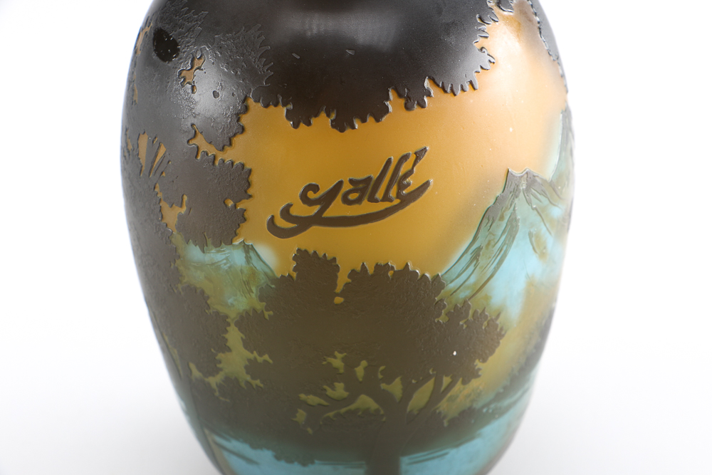 Collection of Glass Vases