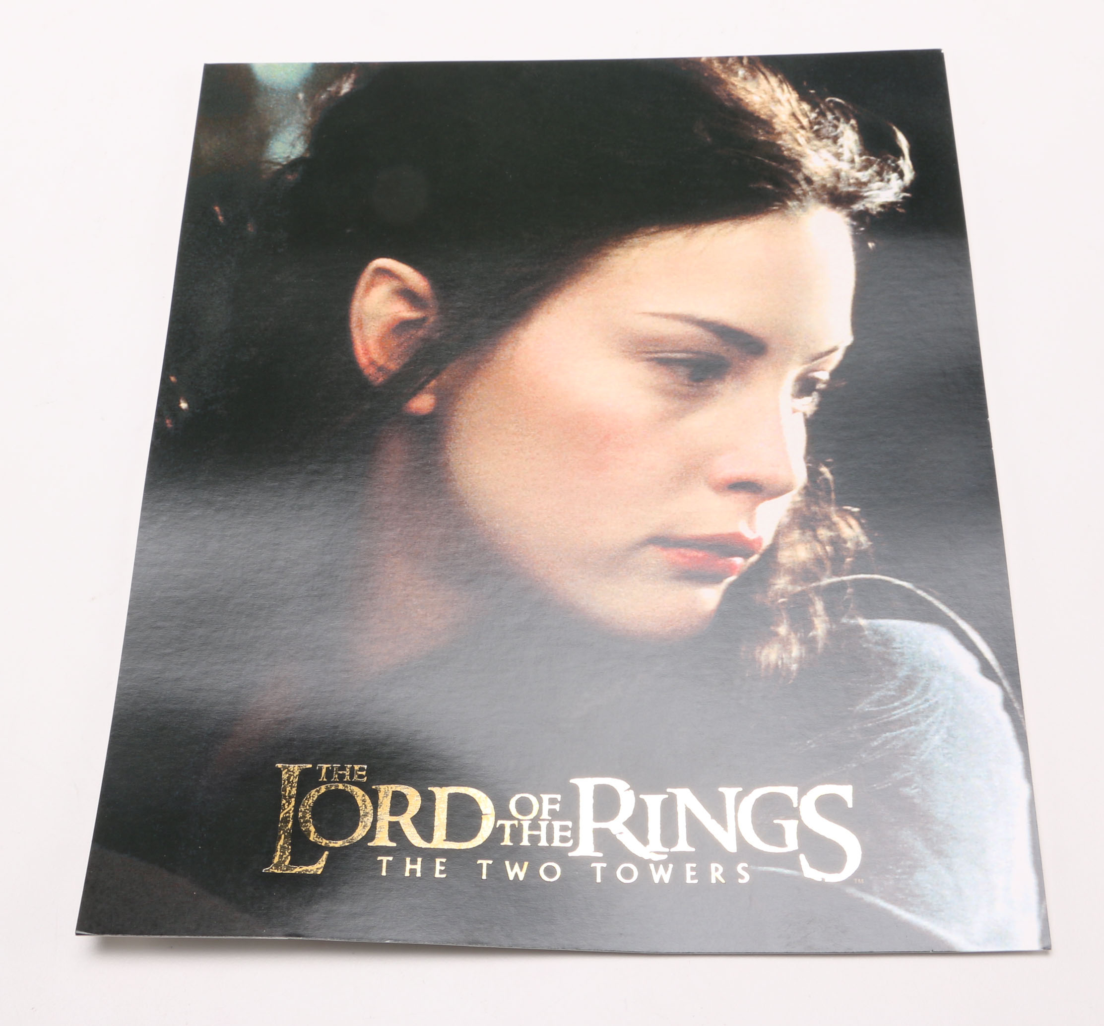 Collection of Signed Lord of the Rings Giclee Stills